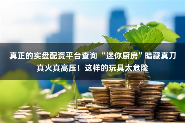 真正的实盘配资平台查询 “迷你厨房”暗藏真刀真火真高压！这样的玩具太危险